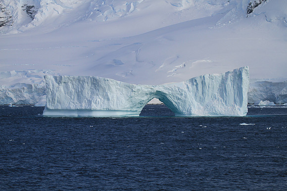 Iceberg